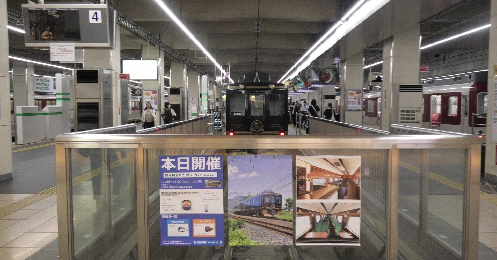 りょーくんレポート・青の交響曲2025.6.11